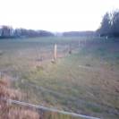  Box pour cheval &agrave; louer &ndash; Cadre champ&ecirc;tre ?