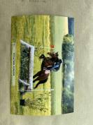 Jument id&eacute;ale pour le sport et le plaisir