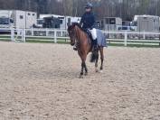 ? &Agrave; VENDRE &ndash; Superbe ponette de 7 ans &ndash; 1m49 ferr&eacute; &ndash; C