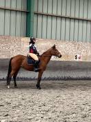 ? &Agrave; VENDRE &ndash; Superbe ponette de 7 ans &ndash; 1m49 ferr&eacute; &ndash; C