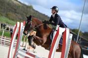 Poney de sport 