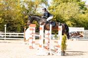 Cheval de sport avec c&oelig;ur et exp&eacute;rience