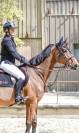 Jument 11 ans pour Amateur 1/Elite