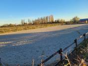 Pension &eacute;curie dynamique