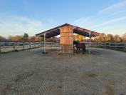 Pension &eacute;curie dynamique