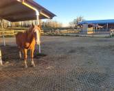 Pension &eacute;curie dynamique