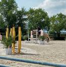 pony per la scuola e attivit&agrave; ludiche