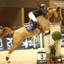 Jument poulini&egrave;re confirm&eacute;e CSO &ndash; Tr&egrave;s bon papier &ndash; 