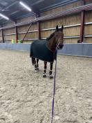 Demi pension 3 &agrave; 5 jours/semaine