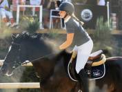 Hongre selle fran&ccedil;ais 