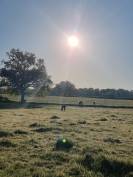 Pension id&eacute;ale pour chevaux d'&eacute;levage, retraite ...