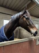 ID&Eacute;AL D&rsquo;AZIF 