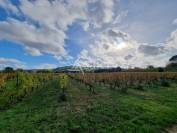Propri&eacute;t&eacute; dans la Vall&eacute;e du Lot, en zone AOC Cahors