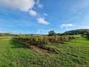 Propri&eacute;t&eacute; dans la Vall&eacute;e du Lot, en zone AOC Cahors