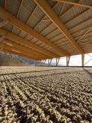 Recherche Cavalier Polyvalent (?74)