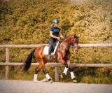 Jument par Vitalis x Apache
