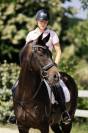 Hongre KWPN -11 ans - Dressage- France