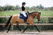 Ponette - 8 ans - par Champion Supr&ecirc;me d'&eacute;t&eacute;- Dressage