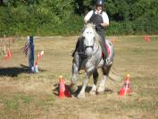 vend &eacute;talon percheron 