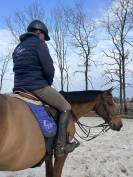 Ecurie de propri&eacute;taire 