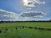 Pension pr&eacute; cheval - Plobannalec-Lesconil (Finist&egrave;re sud - 29)