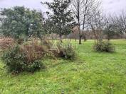 Propri&eacute;t&eacute; agricole sur 3ha pour maraichage ou polyculture