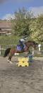 PONETTE PFS 7 ANS VOLONTAIRE, AFFECTUEUSE, AVEC DU SANG