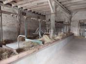 Propri&eacute;t&eacute; agricole bio sur 14ha de pr&eacute; et bois proche Montpon