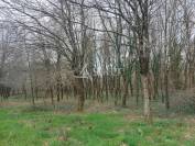 Propri&eacute;t&eacute; agricole bio sur 14ha de pr&eacute; et bois proche Montpon