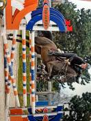 ? &Agrave; vendre &ndash; Superbe jument pour famille cavali&egrave;re con