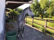 ? Demi-pension &ndash; Belagio