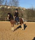 Milou - Poney ONC