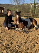 Milou - Poney ONC