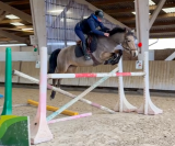 ✨ &Agrave; vendre &ndash; Ponette d&rsquo;avenir ✨