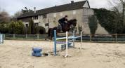 Super jument top amateur id&eacute;al transition poney cheval 