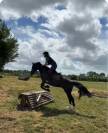 Ponette de sport
