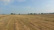 Approx 4 or 6 acres Equestrian land for sale