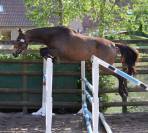 Poulini&egrave;re Isabelle 