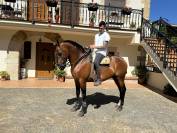 Caballo tres sangres
