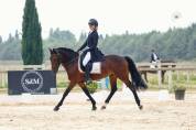 Poney de sport 