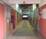 Propriet&agrave; con strutture per attivit&agrave; equestri