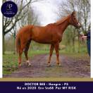 6 ans env 1m68 petit prix pour bonne maison