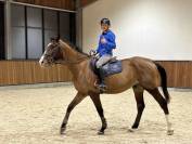 Top 4 anni da salto ostacoli