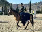 Top pony da salto 1.10m