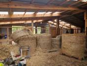 Propri&eacute;t&eacute; &eacute;questre &agrave; Chassepierre face &agrave; la Semois