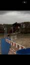 Poney de Sport Etalon