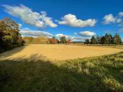 Propri&eacute;t&eacute; et Installations &eacute;questres sur 9,5 hectares dans le