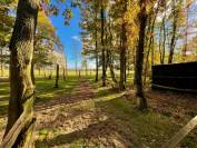 Propri&eacute;t&eacute; et Installations &eacute;questres sur 9,5 hectares dans le