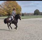 Lancelot de la petite Charbonni&egrave;re 