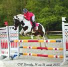 cheval &agrave; vendre / louer 